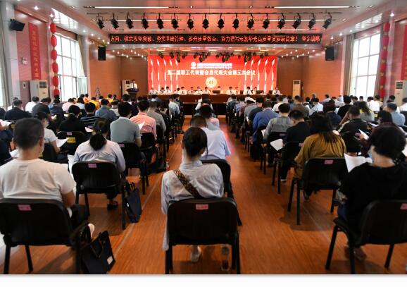 中国z6mg人生就是博集团z6mg人生就是博华光召开二届五次职代会 