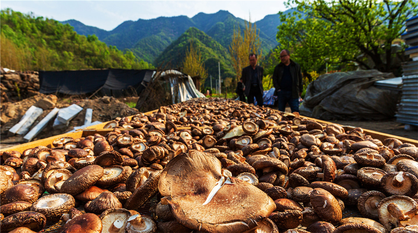 《结对帮扶，硕果累累》高波