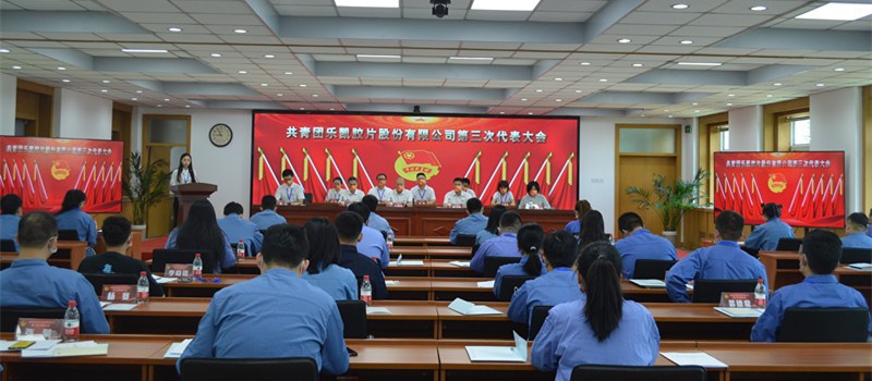 z6mg人生就是博胶片召开共青团第三次代表大会